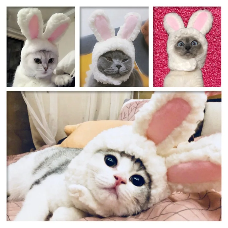 Cute Design Dogs Cats Caps Supplies Doggy Ears Hats Products Puppy Hat Pet Dog Cat Accessories Costumes
Cute Design Dogs Cats Caps Supplies Doggy Ears Hats Products Puppy Hat Pet Dog Cat Accessories Costumes