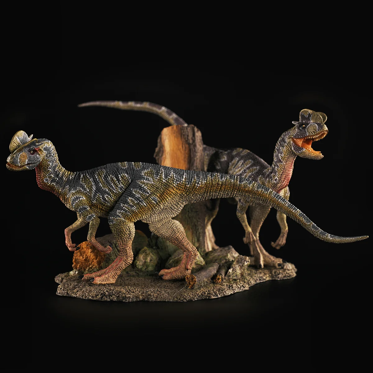 REBOR Jurassic Period Dilophosaurus Couple Dilo Collector Dinosaur Model Ancient Animal Decor Toy Gift
REBOR Jurassic Period Dilophosaurus Couple Dilo Collector Dinosaur Model Ancient Animal Decor Toy Gift