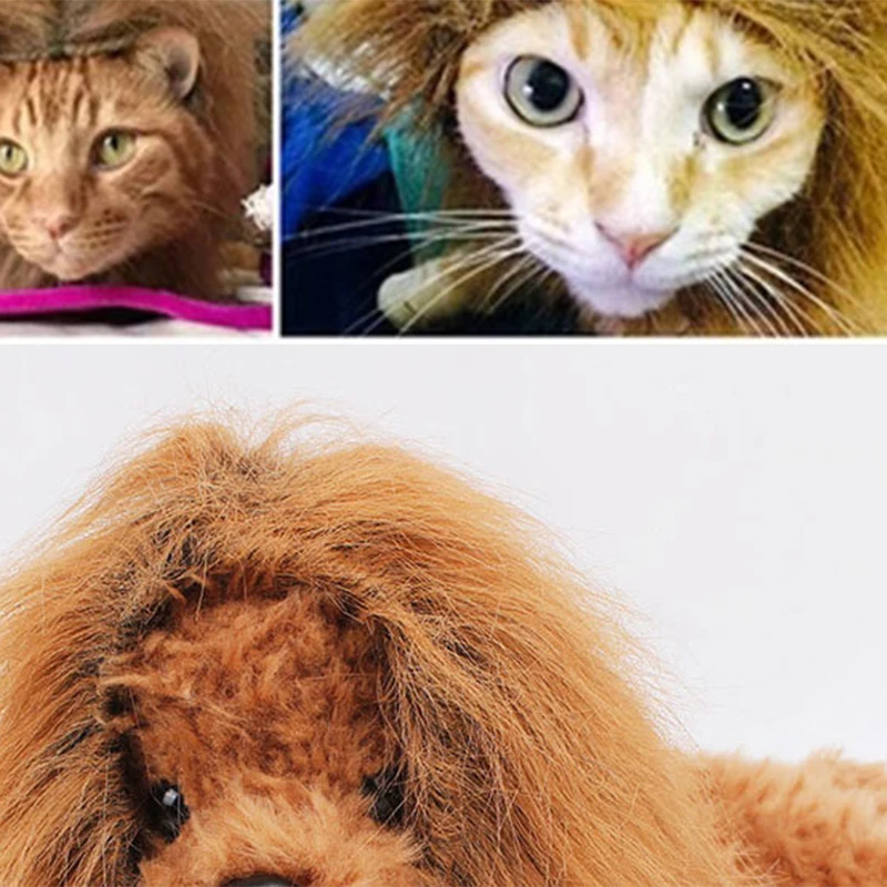 Cute Pet Cosplay Clothes Transfiguration Costume Lion Mane Winter Warm Wig Cat large Dog Party Decoration With Ear Pet Apparel6