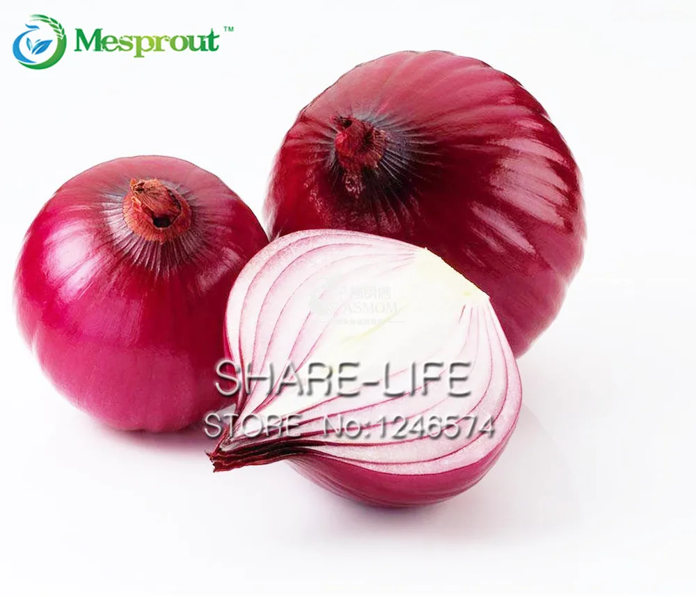 100 PCS / PACKS Fresh Giant Purple Onion Bonsai Vegetable 95% Great Healthy Vegetable For Home Garden Free Shipping Bonsai
100 PCS / PACKS Fresh Giant Purple Onion Bonsai Vegetable 95% Great Healthy Vegetable For Home Garden Free Shipping Bonsai