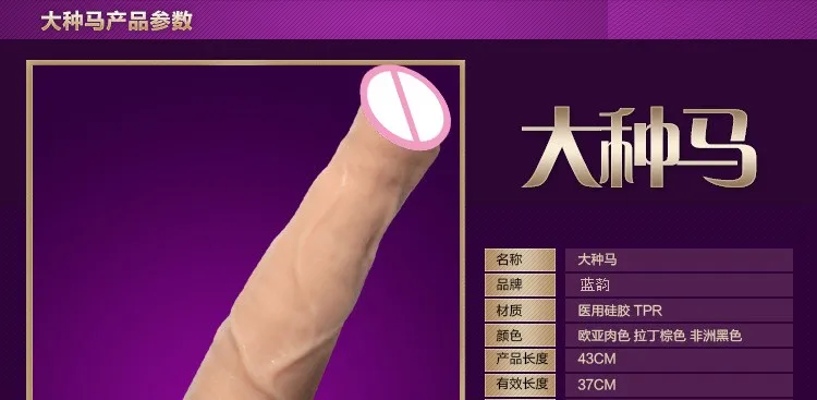 horse dildo (8)