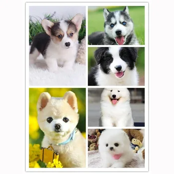 100% Full 5D Diy Daimond Painting "Six Kinds Of Dogs" 3D Diamond Painting Round Rhinestone Diamant Painting Embroidery KBL
100% Full 5D Diy Daimond Painting "Six Kinds Of Dogs" 3D Diamond Painting Round Rhinestone Diamant Painting Embroidery KBL