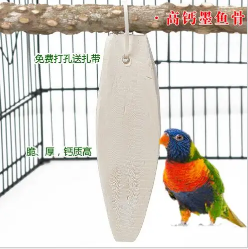 Super cuttlefish bone,Special Grinding for Parrot to disinfect and replenish the Bone of Cuttlefish,Tiger-exhausted parrot birds
Super cuttlefish bone,Special Grinding for Parrot to disinfect and replenish the Bone of Cuttlefish,Tiger-exhausted parrot birds