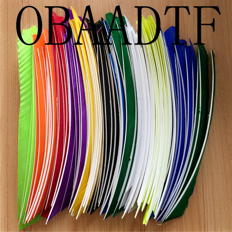 50pcs Multicolor Full Length 12 Color 18~25CM Real Turkey Feather For Archery Hunting And Shooting Arrow Arrows Feather Vane
50pcs Multicolor Full Length 12 Color 18~25CM Real Turkey Feather For Archery Hunting And Shooting Arrow Arrows Feather Vane