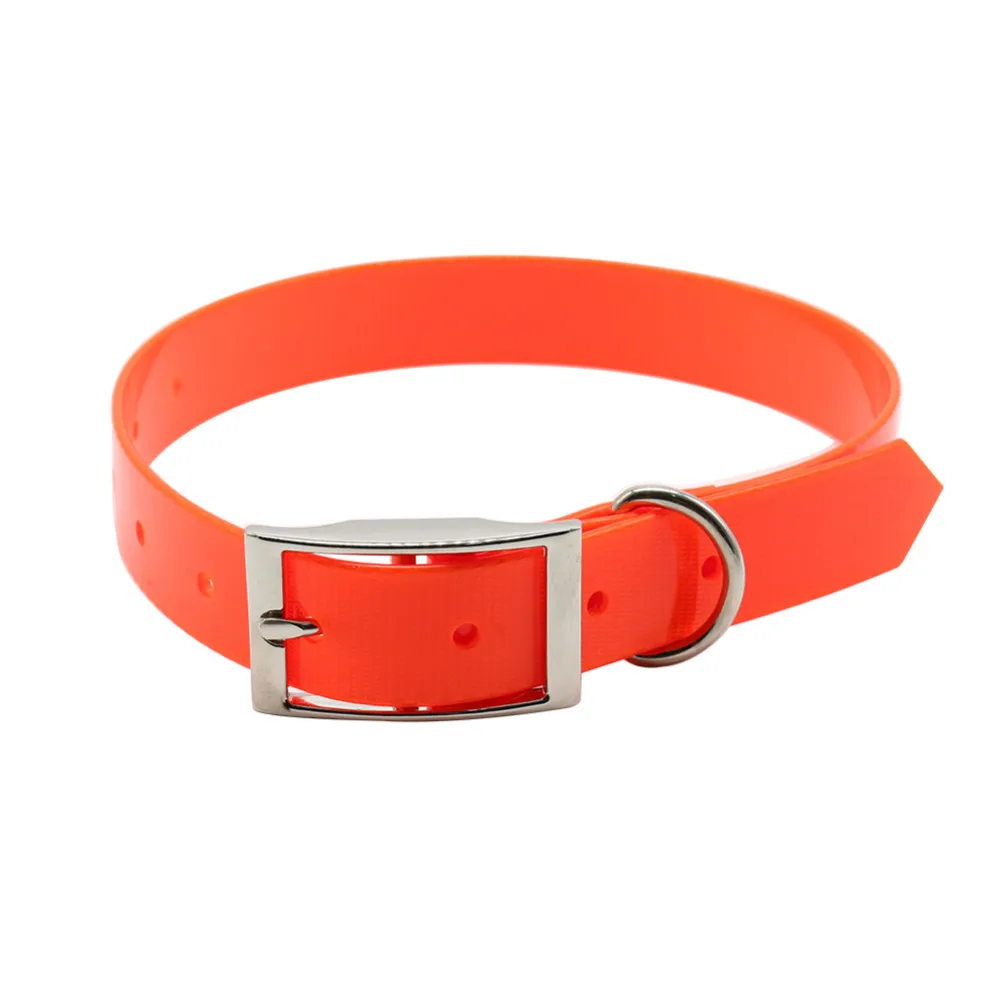 Dog Collar Image 10