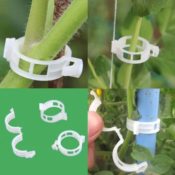 Plants Hanging Vine Fencing Trellis Gates Vegetables Garden Ornament Plastic Durable 50Pcs 100Pcs Garden Greenhouse 30mm
Plants Hanging Vine Fencing Trellis Gates Vegetables Garden Ornament Plastic Durable 50Pcs 100Pcs Garden Greenhouse 30mm