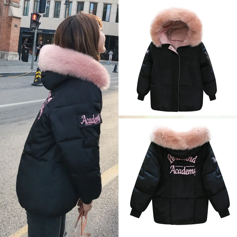 2019 Winter coat women Factory direct fall women's short warm padded cotton clothing Korean down jacket
2019 Winter coat women Factory direct fall women's short warm padded cotton clothing Korean down jacket