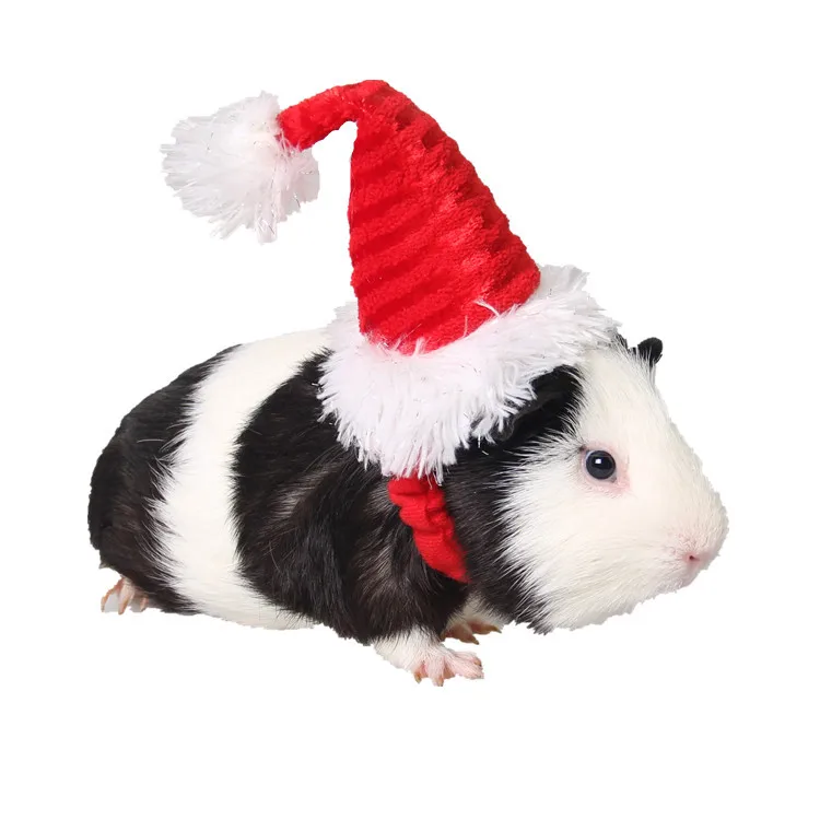 Christmas small animal hamster Hat winter Warm guinea pig rabbit Chinchilla hat cape pet Grooming accessories
Christmas small animal hamster Hat winter Warm guinea pig rabbit Chinchilla hat cape pet Grooming accessories