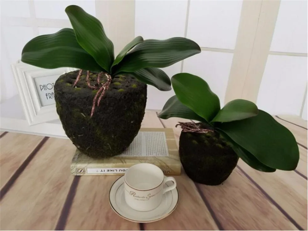 High Quality Artificial Flowers Vivid Orchid Leaves Wedding Decoration PU DIY Potted Fake Leaf Party Home Decor Flores Gift
High Quality Artificial Flowers Vivid Orchid Leaves Wedding Decoration PU DIY Potted Fake Leaf Party Home Decor Flores Gift