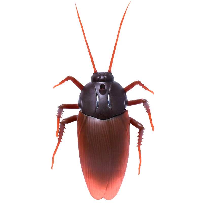 Hot RCToys Animals Novelty Gags Remote Control Ants Cockroaches Spiders Crawling Insect Halloween Horror Practical Jokes RC Toys
Hot RCToys Animals Novelty Gags Remote Control Ants Cockroaches Spiders Crawling Insect Halloween Horror Practical Jokes RC Toys