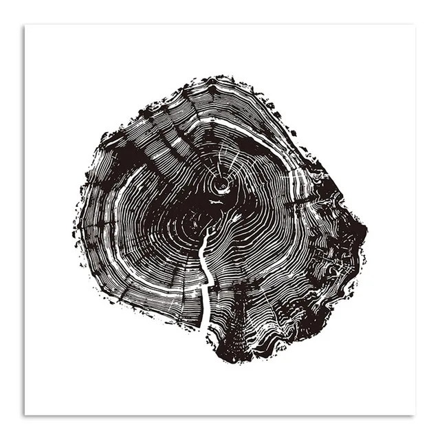 Nordic-Minimalist-Canvas-Decorative-Picture-Black-White-Tree-Ring-Canvas-Print-Painting-Poster-Art-Wall-Decor.jpg_640x640 (3)
