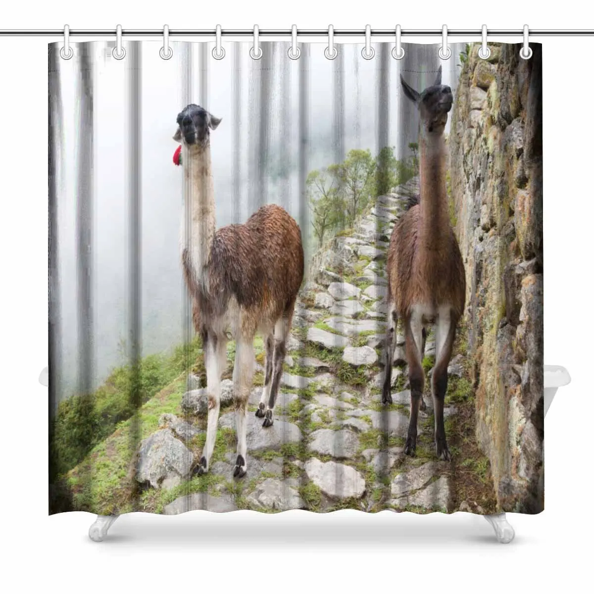 Aplysia Llama at Lost City of Machu Picchu Peru Bathroom Shower Curtain Accessories 72 Inches
Aplysia Llama at Lost City of Machu Picchu Peru Bathroom Shower Curtain Accessories 72 Inches