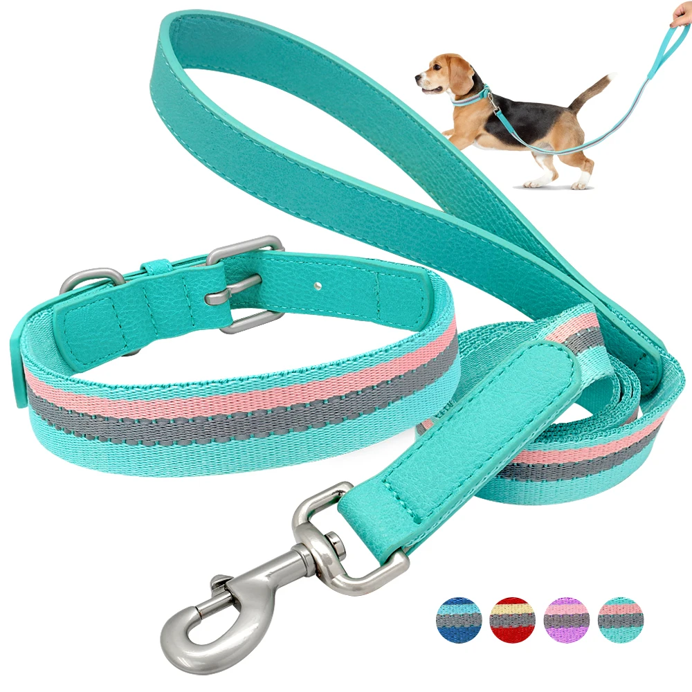 Nylon Dog Collar And Leash Set Adjustable Reflective Strip Dog Collars And Pet Walking Lead Leash For Small Medium Dogs Pitbull
Nylon Dog Collar And Leash Set Adjustable Reflective Strip Dog Collars And Pet Walking Lead Leash For Small Medium Dogs Pitbull