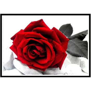 Full Rhinestone Decorative Painting Mosaic Crafts 3D DIY Diamond Painting Rose Flower Picture 5D Embroidery Cross Stitch
Full Rhinestone Decorative Painting Mosaic Crafts 3D DIY Diamond Painting Rose Flower Picture 5D Embroidery Cross Stitch