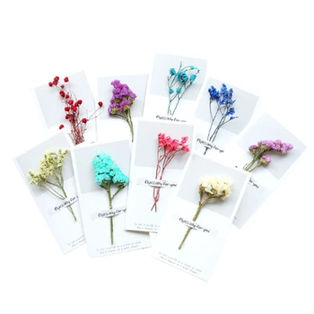Dried Flowers Greeting Cards-Blank Note Cards Birthday Note Thank You Cards Perfect for Business, Wedding, Graduation, Baby Sh
Dried Flowers Greeting Cards-Blank Note Cards Birthday Note Thank You Cards Perfect for Business, Wedding, Graduation, Baby Sh