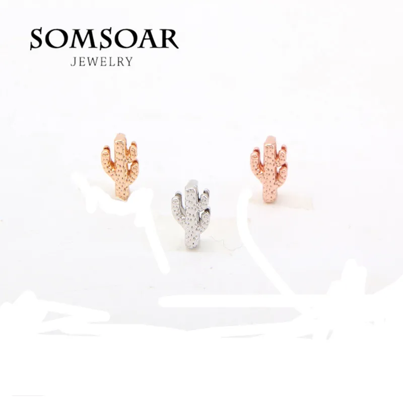 Somsoar Jewelry cacti Charms fit Leather wrappable Mesh Stainless steel Bracelet Bangle 10pcs/lot
Somsoar Jewelry cacti Charms fit Leather wrappable Mesh Stainless steel Bracelet Bangle 10pcs/lot
