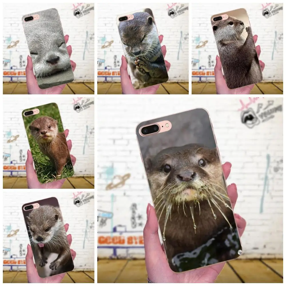 Romantic Otters Holding Hands Cute Otters Soft Capa Cover For Huawei P8 P9 P10 P20 P30 Mate 7 8 9 10 20 Lite Plus Pro 2017
Romantic Otters Holding Hands Cute Otters Soft Capa Cover For Huawei P8 P9 P10 P20 P30 Mate 7 8 9 10 20 Lite Plus Pro 2017