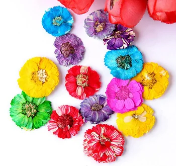 120pcs Pressed Dried Bellis Perennis Flower For Wedding Party Home Pendant Necklace Craft DIY Bouquet Accessories
120pcs Pressed Dried Bellis Perennis Flower For Wedding Party Home Pendant Necklace Craft DIY Bouquet Accessories