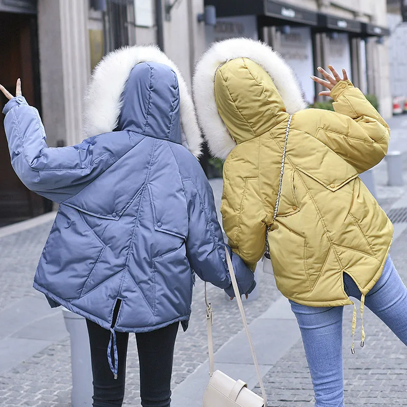2019 Winter Large Size Fur Collar Cotton Ladies Short Hooded Slim Down Cotton Women Tuxedo
2019 Winter Large Size Fur Collar Cotton Ladies Short Hooded Slim Down Cotton Women Tuxedo