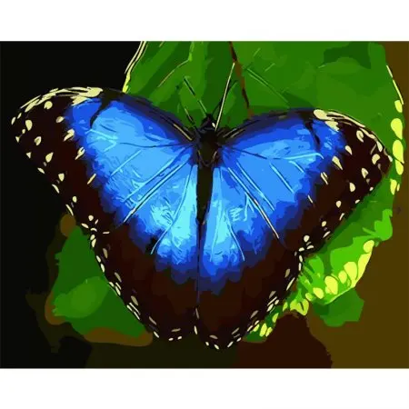 cioioil-W858 blue butterfly Painting By Numbers Kits Acrylic Paint On Canvas Handpainted Oil Painting For Home Decor