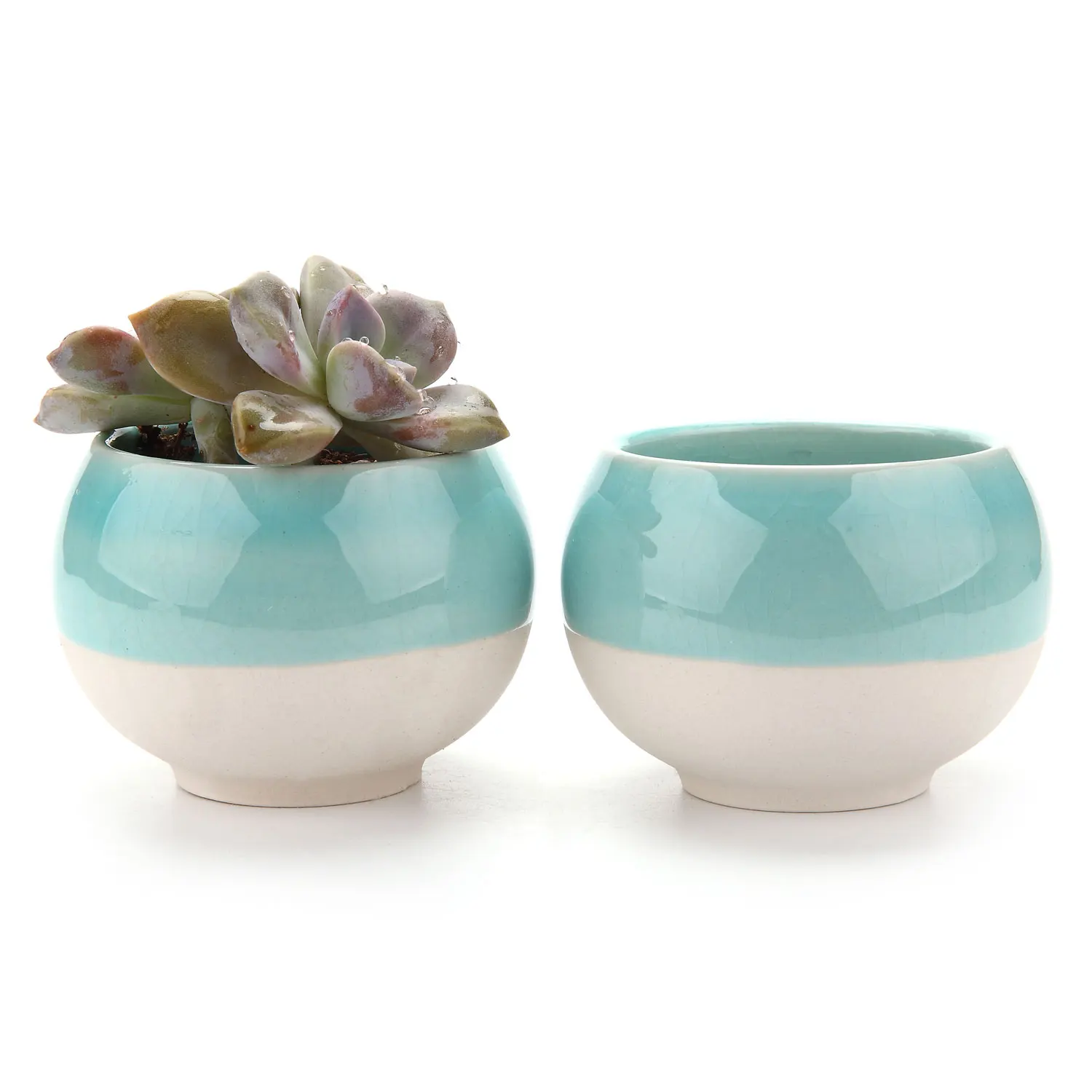 T4U 2pcs Ball Shape succulent planter Cactus maceta bonsai pot Plant Pots Planters Containers Window Boxes garden decoration
T4U 2pcs Ball Shape succulent planter Cactus maceta bonsai pot Plant Pots Planters Containers Window Boxes garden decoration