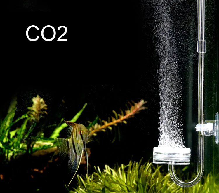 mini co2 aquarium