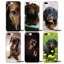 coque teckel iphone 5 coque teckel iphone 5