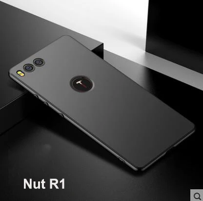 R1