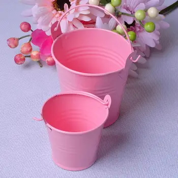 5Pcs Cute Candy Succulent Plant Bucket Balcony Hanging Flower Pot Barrel DIY Wedding Birthday Party Gift Toys For Kids
5Pcs Cute Candy Succulent Plant Bucket Balcony Hanging Flower Pot Barrel DIY Wedding Birthday Party Gift Toys For Kids