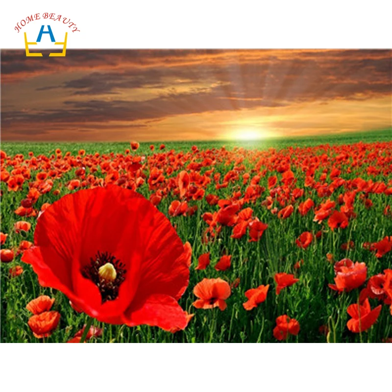 Coloring by numbers on canvas diy flowers paintings for living room on the wall home decor sunrise poppies modular picture Y5108
Coloring by numbers on canvas diy flowers paintings for living room on the wall home decor sunrise poppies modular picture Y5108