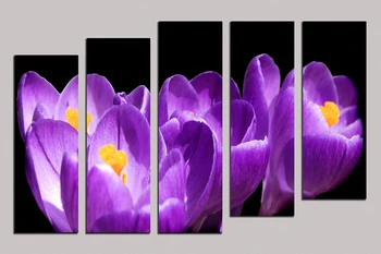 Direct selling 5pcs Oil Painting On Canvas about "purple flower" home Decor Modern living room decoration wall stickers RM5-076 
Direct selling 5pcs Oil Painting On Canvas about "purple flower" home Decor Modern living room decoration wall stickers RM5-076