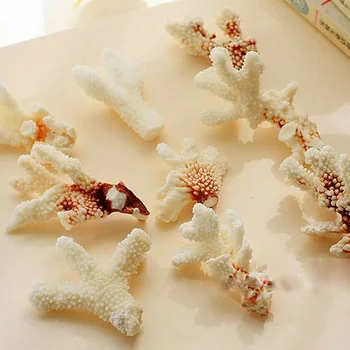 Natural white decorative coral crafts fish tank decoration white corail zeeaquarium decoration
Natural white decorative coral crafts fish tank decoration white corail zeeaquarium decoration