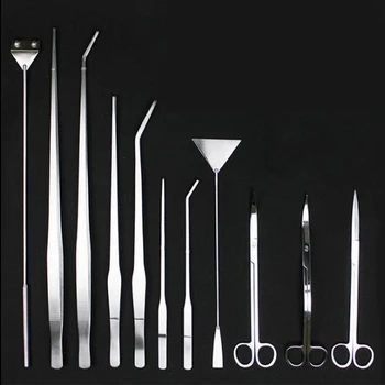 Hot Sale Straight Curved Tweezer Scissor Algae Scraper Stainless Steel Aquarium Plant Tools Scissors Tools Kit Set
Hot Sale Straight Curved Tweezer Scissor Algae Scraper Stainless Steel Aquarium Plant Tools Scissors Tools Kit Set