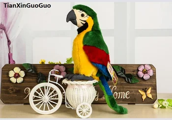 high quality goods about 26cm beautiful bird lovely colourful green parrot plush toy soft doll birthday gift b2731
high quality goods about 26cm beautiful bird lovely colourful green parrot plush toy soft doll birthday gift b2731