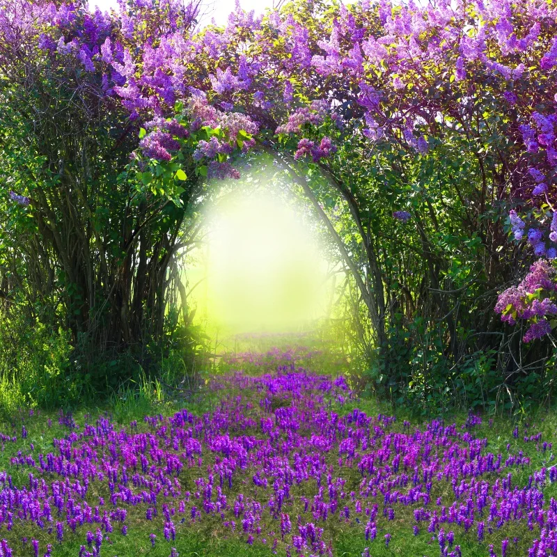 Laeacco Magic Spring Forest Purple Flowers Baby Photography Backgrounds For Photo Studio Vinyl Custom Camera Photo Backdrops
Laeacco Magic Spring Forest Purple Flowers Baby Photography Backgrounds For Photo Studio Vinyl Custom Camera Photo Backdrops