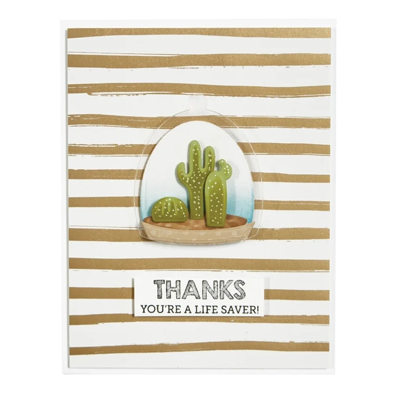 Greenhouse Cactus Set Metal Cutting Dies For DIY Scrapbooking Album Embossing Card Decorative Crafts
Greenhouse Cactus Set Metal Cutting Dies For DIY Scrapbooking Album Embossing Card Decorative Crafts