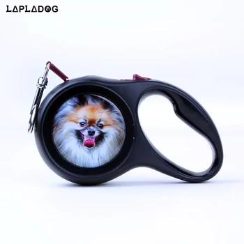 LAPLADOG Automatic Retractable Dog Leash Puppy Walking Leader Small Dogs Universal Remote Control With Super Flat Belt Pet Rope
LAPLADOG Automatic Retractable Dog Leash Puppy Walking Leader Small Dogs Universal Remote Control With Super Flat Belt Pet Rope