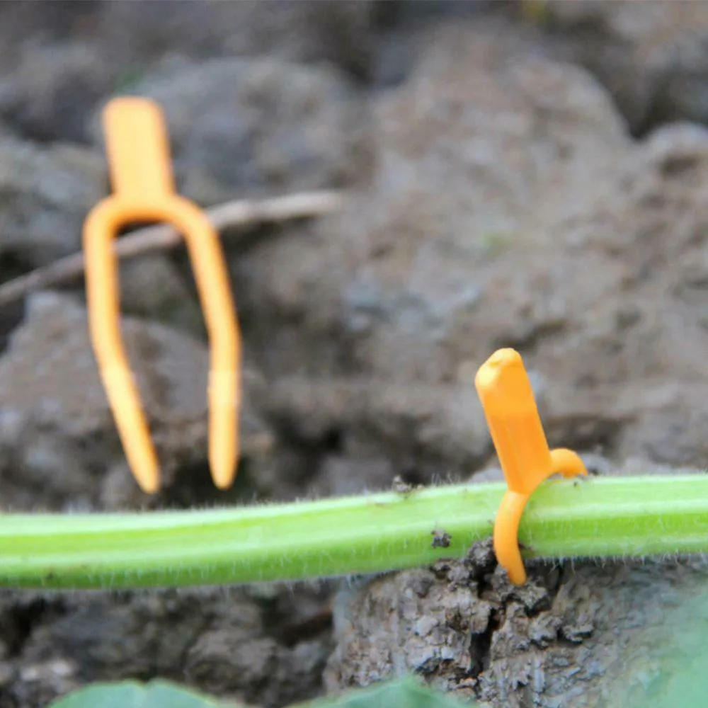 Garden Plant Support Clips Connects Plants Tomato Vegetable Fastening Clip Plant Plastic Greenhouse Garden Supplies z0329#G20
Garden Plant Support Clips Connects Plants Tomato Vegetable Fastening Clip Plant Plastic Greenhouse Garden Supplies z0329#G20