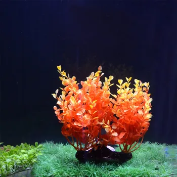Aquarium Plastic Plant Orange Round Leaf Ceramic Base Artificial Plants For Aquarium Fish Tank Background Decoration Accessories
Aquarium Plastic Plant Orange Round Leaf Ceramic Base Artificial Plants For Aquarium Fish Tank Background Decoration Accessories