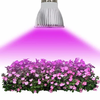Full Spectrum LED Plant Growing Light Bulb Hydroponic Indoor Garden Greenhouse Flower Growing Lamps E27/E14/GU10
Full Spectrum LED Plant Growing Light Bulb Hydroponic Indoor Garden Greenhouse Flower Growing Lamps E27/E14/GU10