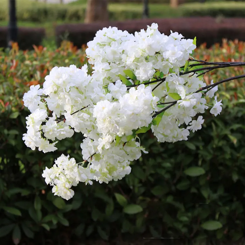 Simulation Cherry Blossom Branch Wedding Decoration Fake Sakura Encrypted Ribbon Pear Tree Branch Twig Flower Flowering
Simulation Cherry Blossom Branch Wedding Decoration Fake Sakura Encrypted Ribbon Pear Tree Branch Twig Flower Flowering