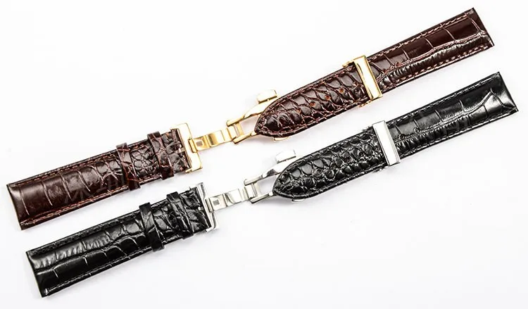 3586960885_1456910487