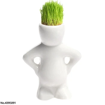 New Novel Bonsai Head Grass Doll Hair White Lazy Man Rely Plant Garden DIY Mini 3 Shapes Choice
New Novel Bonsai Head Grass Doll Hair White Lazy Man Rely Plant Garden DIY Mini 3 Shapes Choice