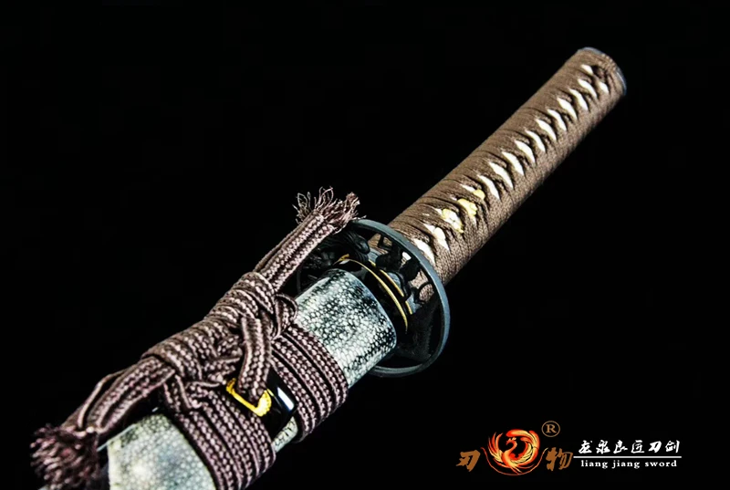 lj6704