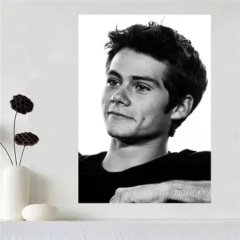 Custom canvas poster Art Dylan O'brien Home Decoration poster cloth fabric wall poster print Silk Fabric Print SQ0527-906
Custom canvas poster Art Dylan O'brien Home Decoration poster cloth fabric wall poster print Silk Fabric Print SQ0527-906