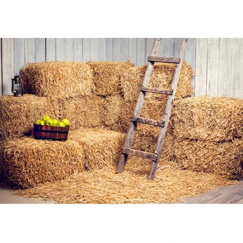 Rick cabin newborn photography backdrops Autumn Fall backdrop studio photography background for studio baby D-6168
Rick cabin newborn photography backdrops Autumn Fall backdrop studio photography background for studio baby D-6168