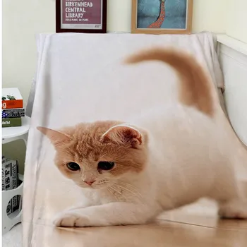 Blankets Comfort Warmth Soft Cozy Air conditioning Easy Care Machine Wash Cute Cat Animals
Blankets Comfort Warmth Soft Cozy Air conditioning Easy Care Machine Wash Cute Cat Animals