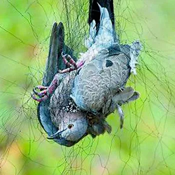 Behogar S M L Anti Bird Pond Green Mesh Netting Fencing for Plant Protection Throstle Pigeon Dove Sparrow Garden Supplies
Behogar S M L Anti Bird Pond Green Mesh Netting Fencing for Plant Protection Throstle Pigeon Dove Sparrow Garden Supplies