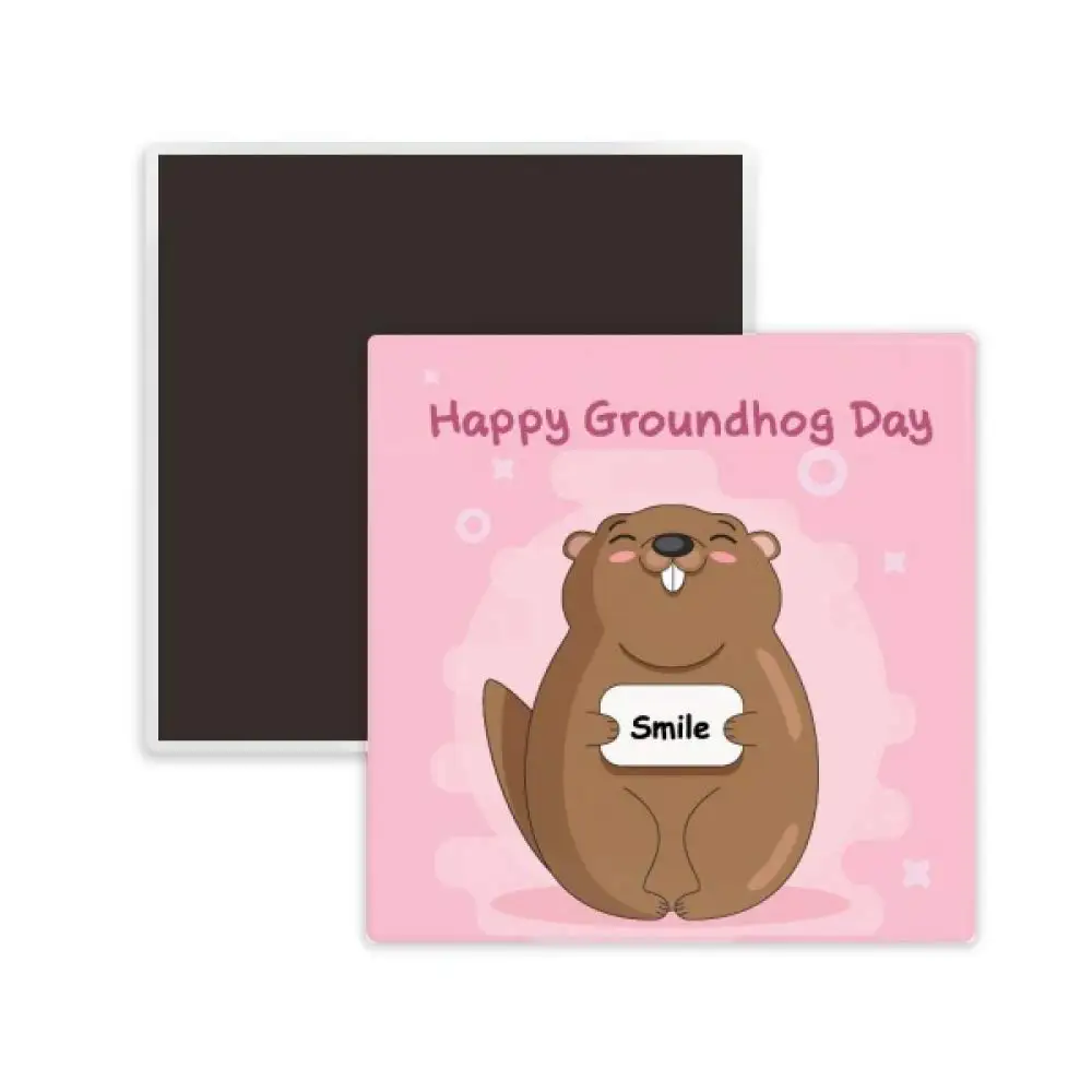 DIYthinker Happy Groundhog Day USA America Canada Festival Square Ceramics Fridge Magnet 2pcs
DIYthinker Happy Groundhog Day USA America Canada Festival Square Ceramics Fridge Magnet 2pcs