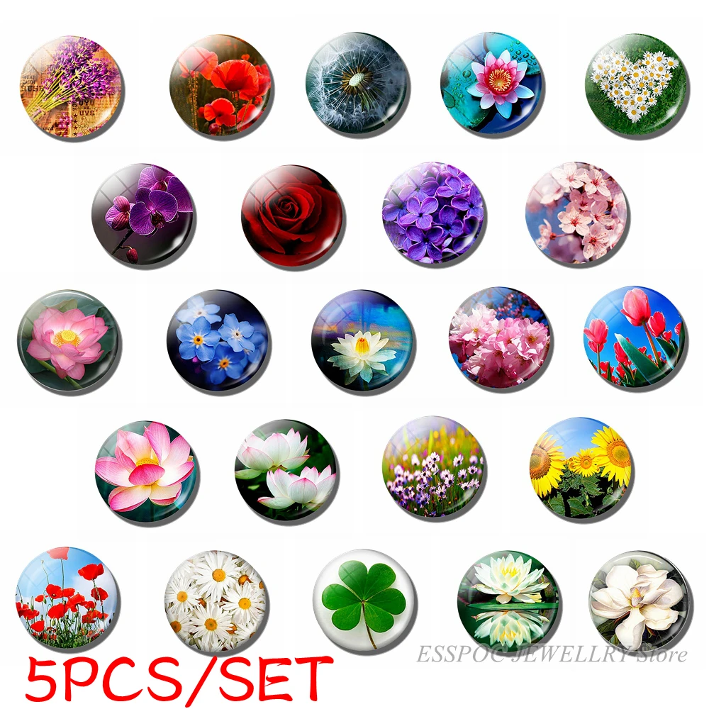 5PCS/SET Daisy Rose Sakura Simple Style Jewelry 25mm Glass Cabochon Poppy Flower Making Fashion Accessories Men Women Gifts
5PCS/SET Daisy Rose Sakura Simple Style Jewelry 25mm Glass Cabochon Poppy Flower Making Fashion Accessories Men Women Gifts